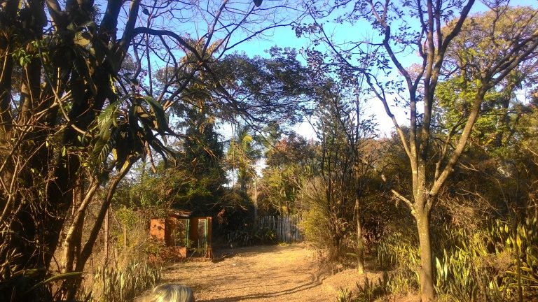 Chácara à Venda em Mogi Mirim Chácara à Venda em Mogi Mirim