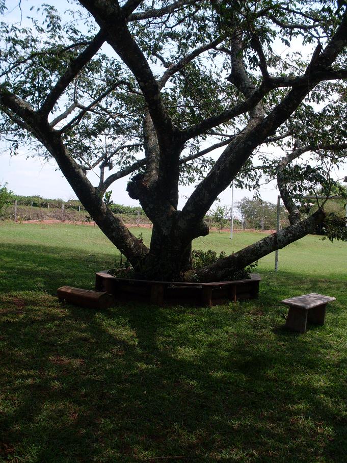 Chácara à Venda em Mogi Mirim