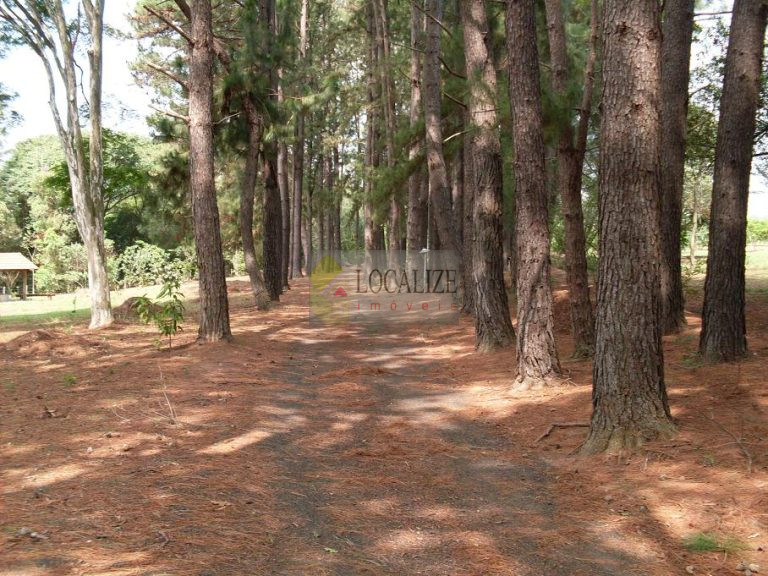 Chácara à Venda em Mogi Mirim